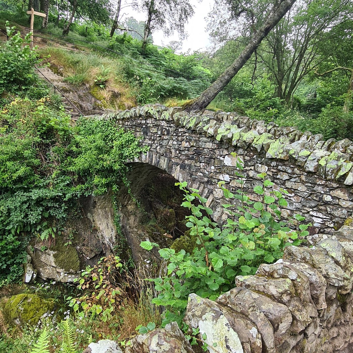 JayneGeraldine's tweet photo. @nationaltrust you are amazing! Your facilities in each location are immaculate. You can see how much pride you have in each place. This is why I'm a member! I know my money is used well! Give yourselves a pat on the back! Lol 👏 #nationaltrust #nature #airaforcewaterfall https://t.co/XGPUOu2SJL