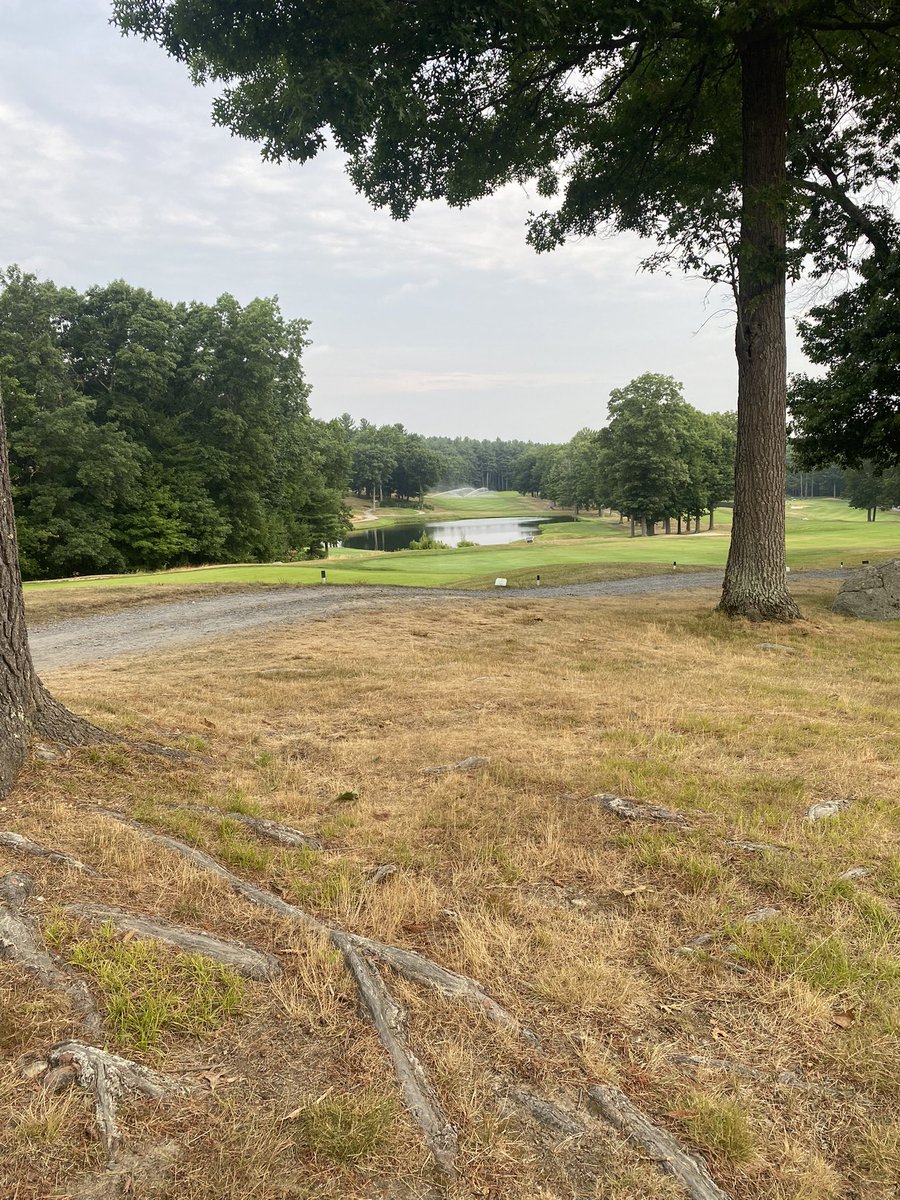 Had a member complain to our GM last week about the abundance of brown spots around the course… team is killing it out here in some very challenging weather conditions!