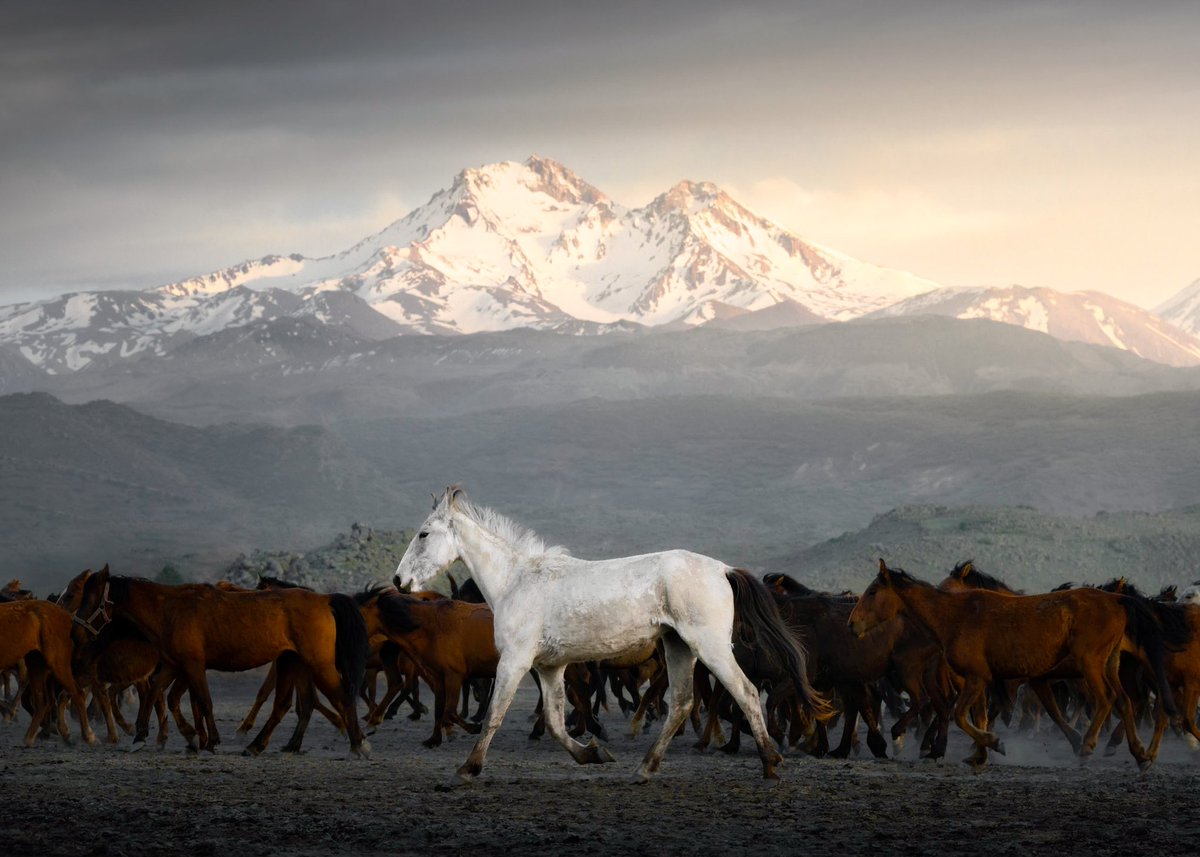 I was in Cappadocia in Turkey the other month and took some photos. Here is one of the local wild horses in front of a volcano. It was also my first outing with my new Nikon Z9. It's pretty awesome!