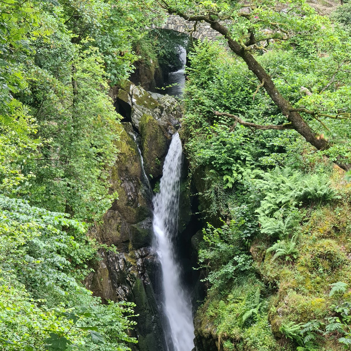 JayneGeraldine's tweet photo. @nationaltrust you are amazing! Your facilities in each location are immaculate. You can see how much pride you have in each place. This is why I'm a member! I know my money is used well! Give yourselves a pat on the back! Lol 👏 #nationaltrust #nature #airaforcewaterfall https://t.co/XGPUOu2SJL