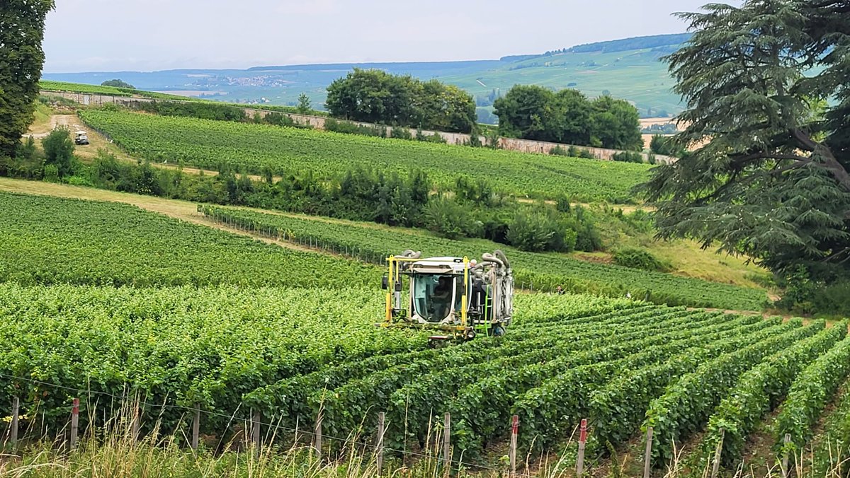 DESANGOSSE's tweet photo. [ #FermesBiosolutionsVigne🍇]
La végétation de la vigne s’épanouit ! 🌱
🚜Travaux de rognage de la #vigne au Château de Boursault (@champ_chateau ) en #Champagne 📍

#PositiveProduction https://t.co/9V1bUfQ4kE