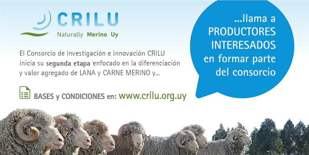 CRILU_uy's tweet photo. 🔊Invitamos a productores de ovinos de todo el 🇺🇾país, a integrar el consorcio de CRILU. 

Sr. Productor: 
Potencie su producción y logre un agronegocio sostenible. Muchos son los beneficios. Capa  #innovación #tecnología #genética #intercambio de #experiencias y mucho más! https://t.co/r2Ls2MYxBC