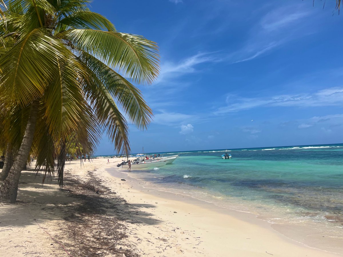 PrimaryEm's tweet photo. Well… a month has passed since I got married and became a wife!!! 🤯✨🥂 We have soaked up the sunshine along with many drinks on our honeymoon and are now back home sorting out life admin. 🪪New DBS check to match my new name is pending…😬 https://t.co/xm54v8IAL6