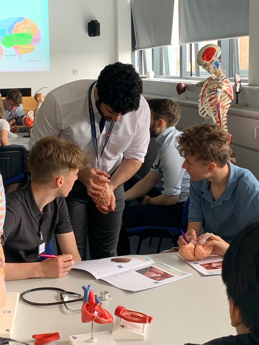 Anatomy workshop in full swing for our summer school students