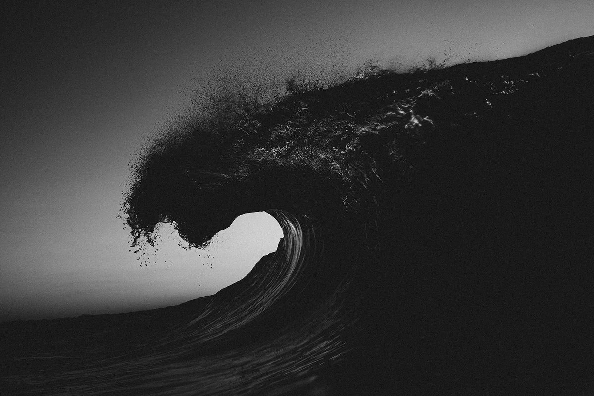 Ryan Pernofski tweet media