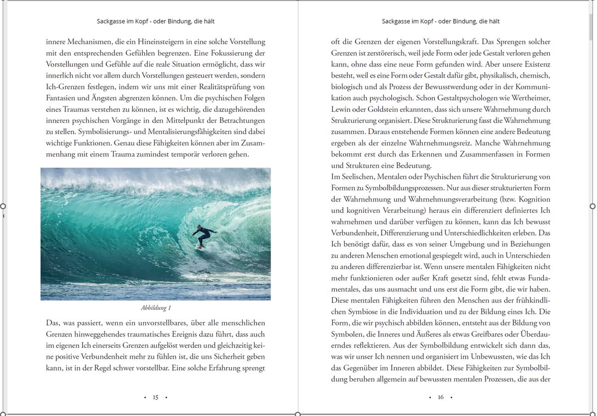 „Sackgasse im Kopf oder Bindung die hält“, das Buch zur Psychodynamik posttraumatischer Störungen, von Dipl.-Psych. Sebastian Rühl, jetzt neu erschienen: sierke-verlag.de/produkt/sackga…
Blick in das Buch: ruehlfey.de/jpegs/2022seb/…
Das Interview zum Buch: youtu.be/7XNn4BhFeJ4