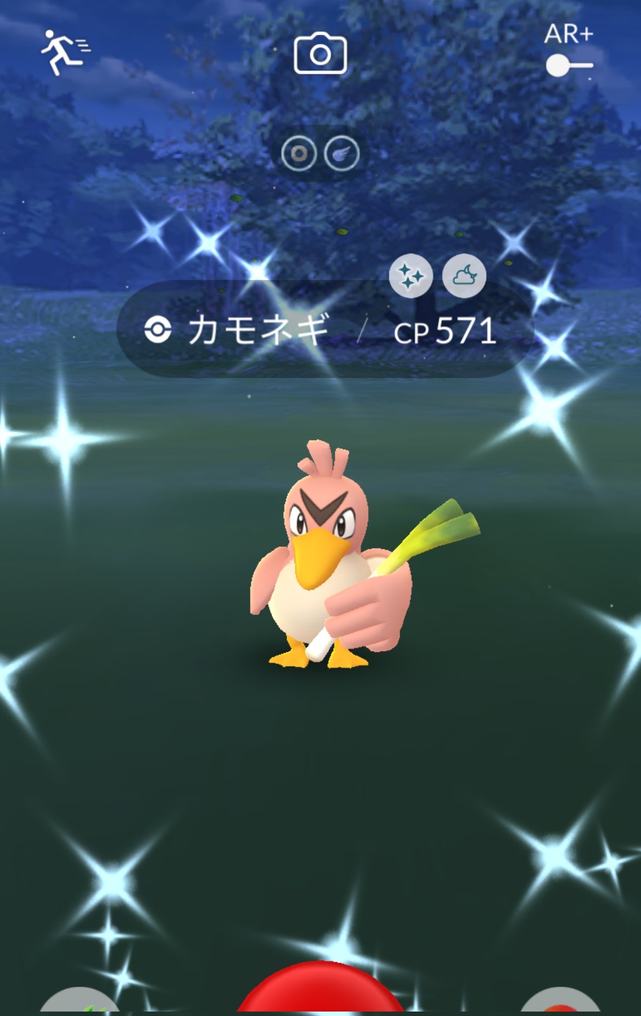 カモネギ Twitter Search Twitter