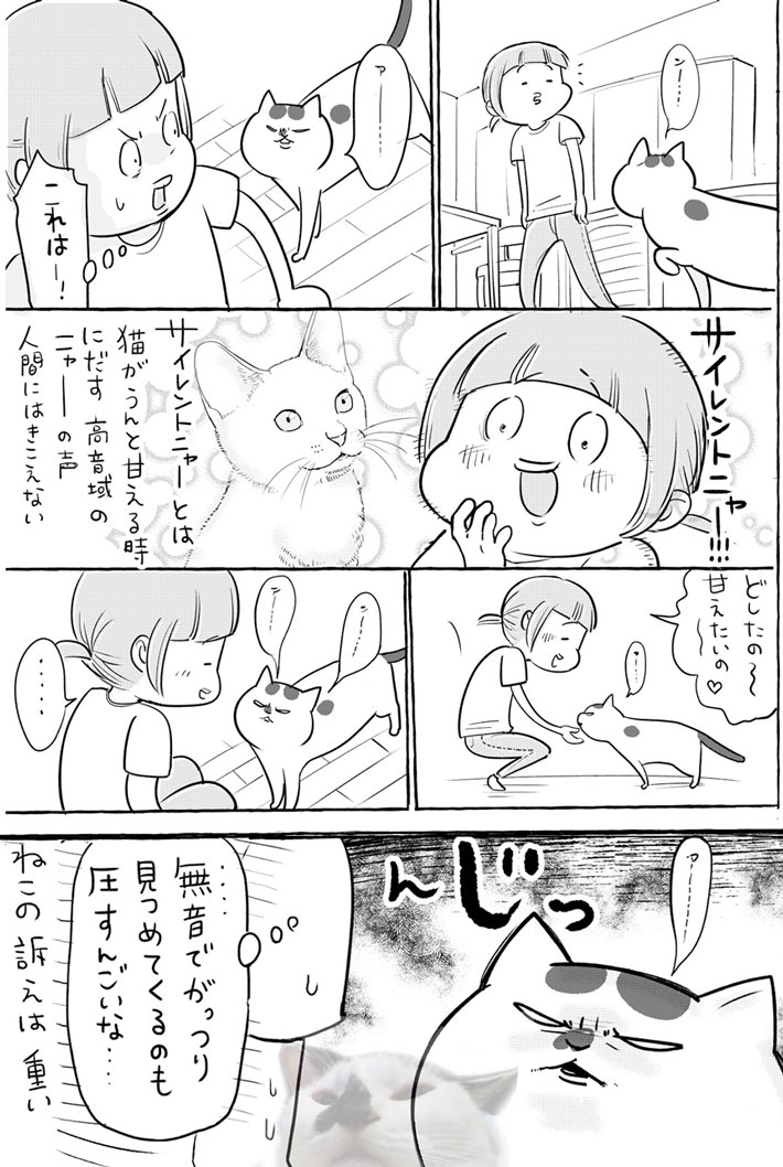 視線だけでプレッシャーを与える犬 一方猫は? 『犬と猫どっちも飼ってると』 https://t.co/QvJfOXUNS2 @grapeejpより 