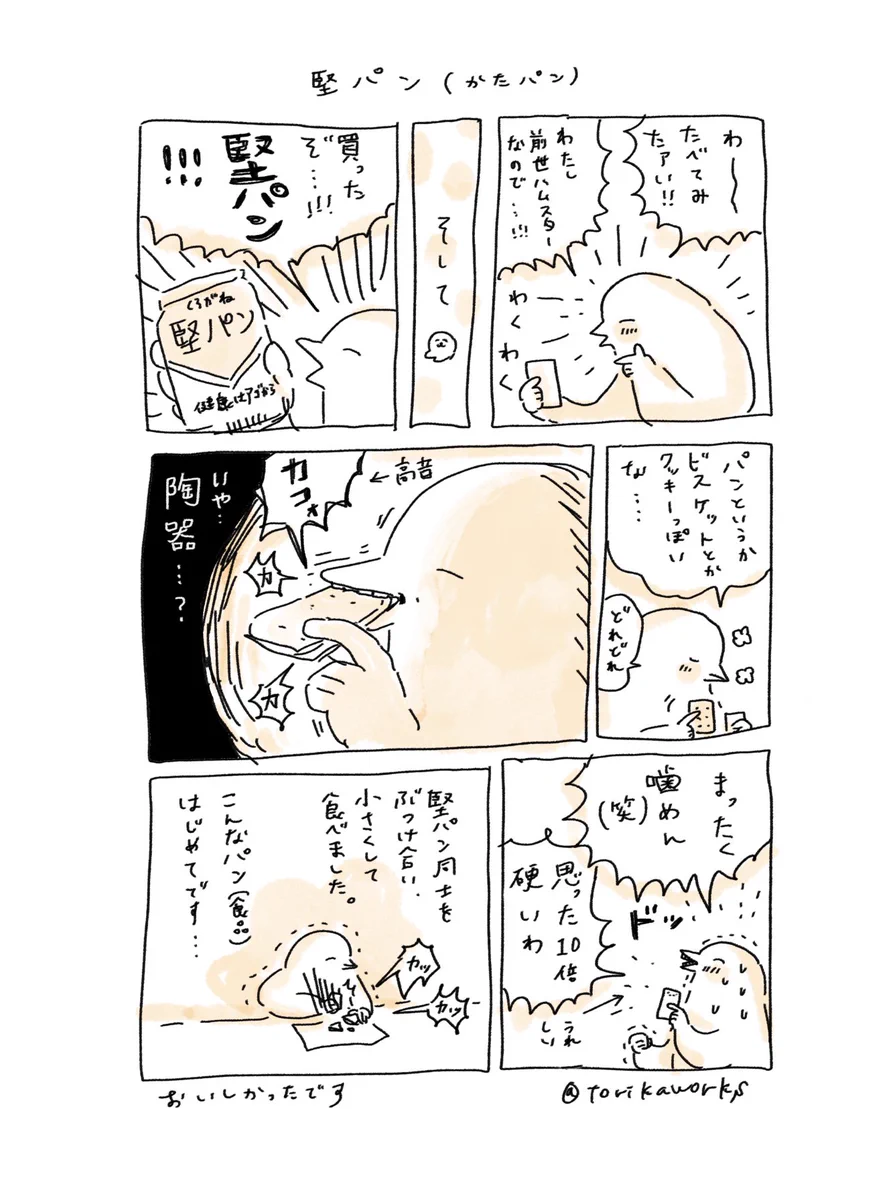 こんなかったいお菓子あるんだね・・・twitterで見かけた堅パン食べてみた