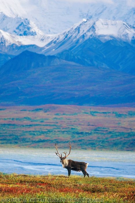 NatureDevotee1's tweet photo. Happy new week https://t.co/vNcbmacylH