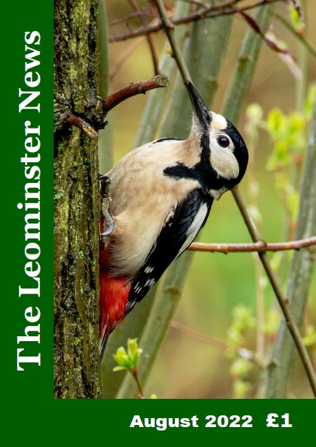 Woodpecker on the front of August's #LeominsterNews - due in the shops this week. Deadline for September issue is August 10th, but it helps if you can submit your words/photos, or book your advert, before then! #herefordhour