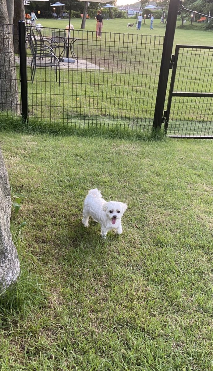 bingmingming's tweet image. 꺅!!' 오랜만입니달라