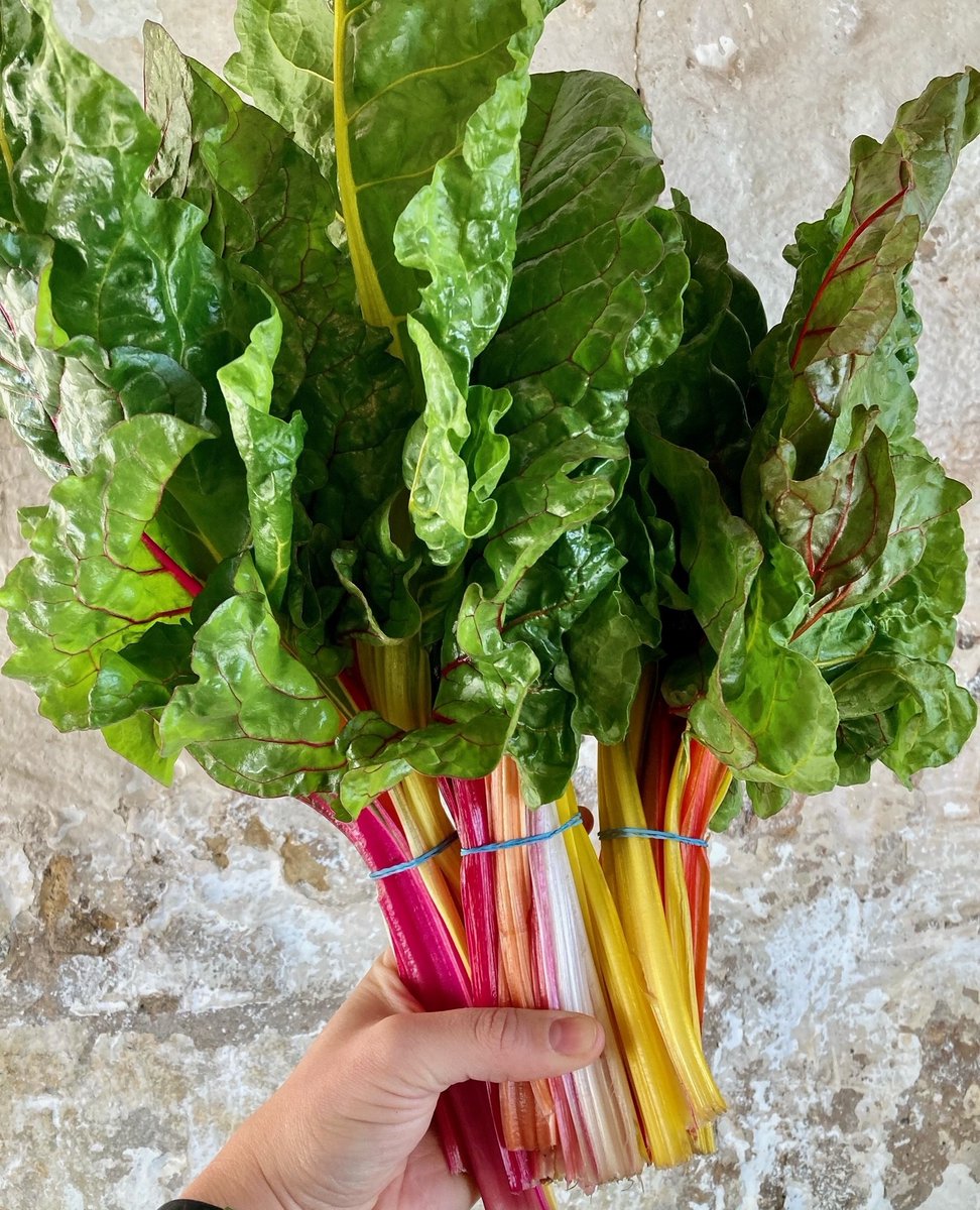 NEW ONLINE SHOP 
We are very excited to soon be bringing you our brand new Bowhouse Link website. Launching on the 1st of August the site has been designed to make shopping responsibly and seasonally as simple as possible. 
shop.bowhousefife.com