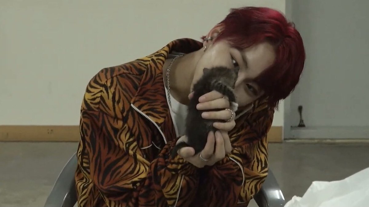 jwnfeed's tweet photo. jungcat and kitten 🐈 #jungwon https://t.co/6QzZBqrttm