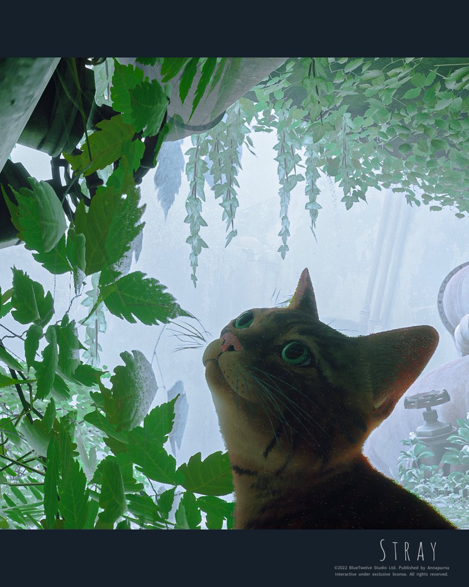 Kiku_ken_16_9's tweet image. 0725

ストーリーが進まぬ😹

Game:#Stray
(PS4Pro,Retouched photos)
Tags:#バーチャル猫 #virtualcat
#vpgamers #gamergram #zarngaming
#virtualphotography
#PSshare #PSBlog