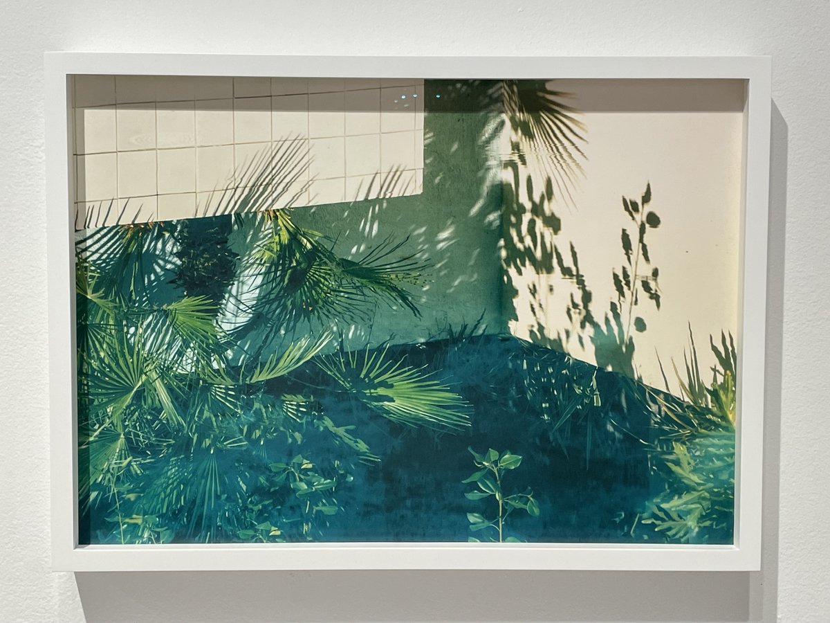 Daybook: The uncertain reflections and shadows of a Los Angeles swimming pool. Robin Bell in the Exhibition Lab Exhibition 2022 group show at @foleygallery. collectordaily.com/robin-bell-fol…