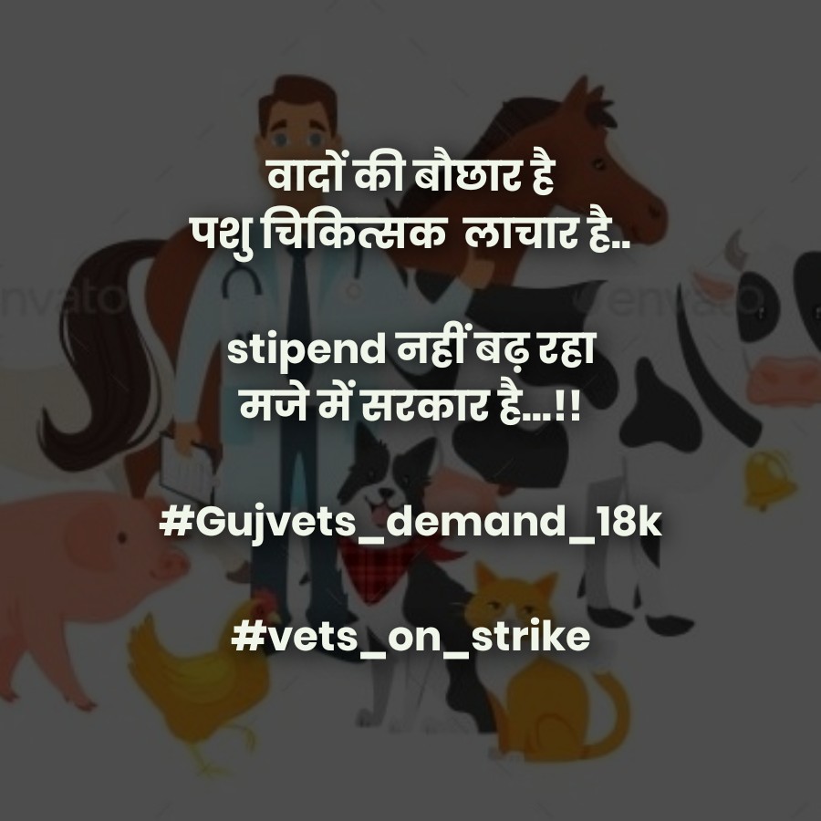 हम सभी पशु चिकित्सको का नारा है, 
अच्छे stipend का अधिकार हमारा है
Over worked less paid
We demand stipend 18000
#Increase_Guj_Vet_Stipend
#Guj_vet_union
#Guj_veterinary_students_on_strike
<a href="/PMOIndia/">PMO India</a> <a href="/CMOGuj/">CMO Gujarat</a>
<a href="/RaghavjiPatel/">Raghavji Patel</a> <a href="/sanghaviharsh/">Harsh Sanghavi</a>
<a href="/PRupala/">Parshottam Rupala</a> <a href="/KanuDesai180/">Kanu Desai</a>
@DivyaBhaskar