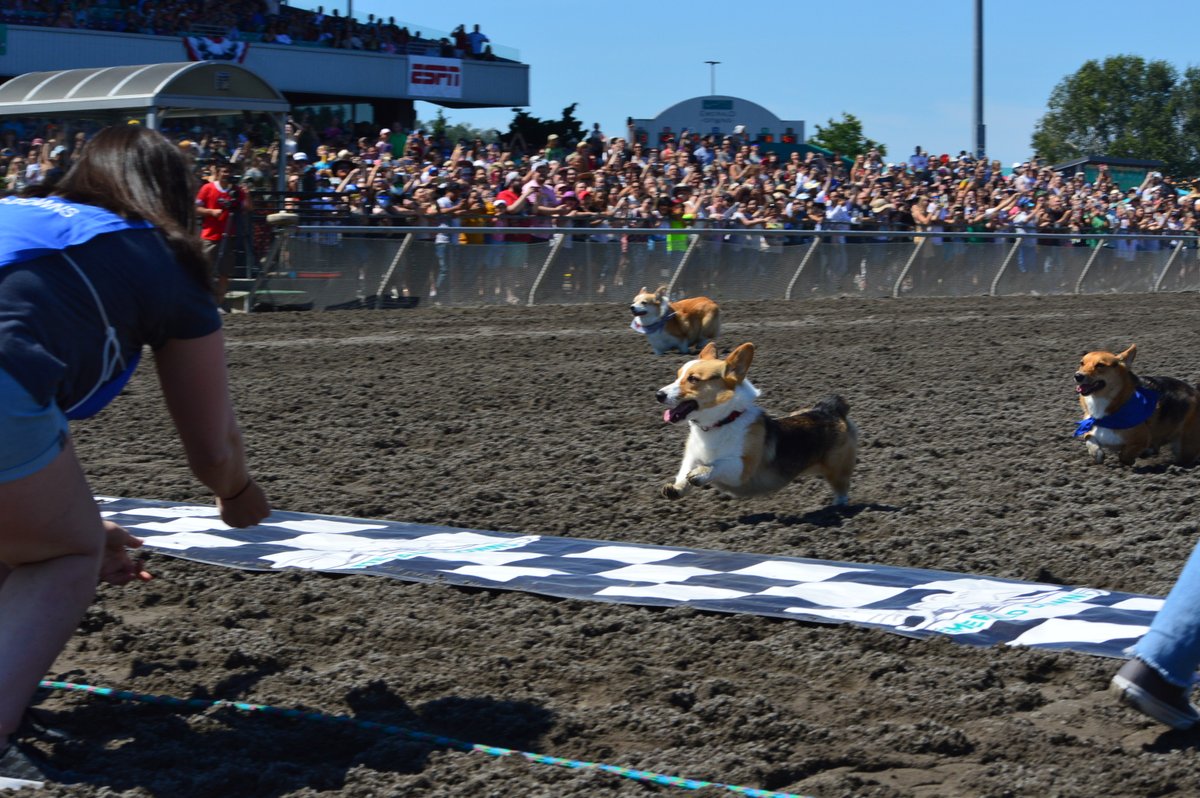 Conway🌻 on Twitter "RT YourESN Yesterday the races took