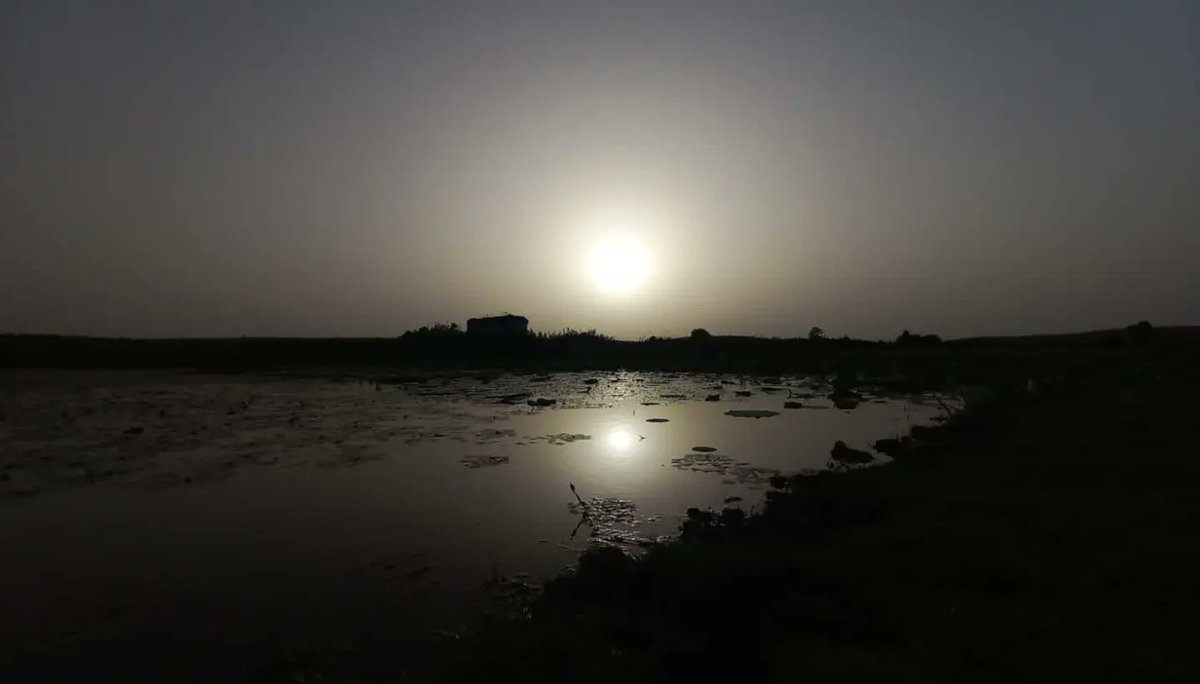 surajTweet_'s tweet photo. You are never alone when you are connected with nature. #nature #sanchimptourism #daynightphotography https://t.co/UIsJ1RX0MP