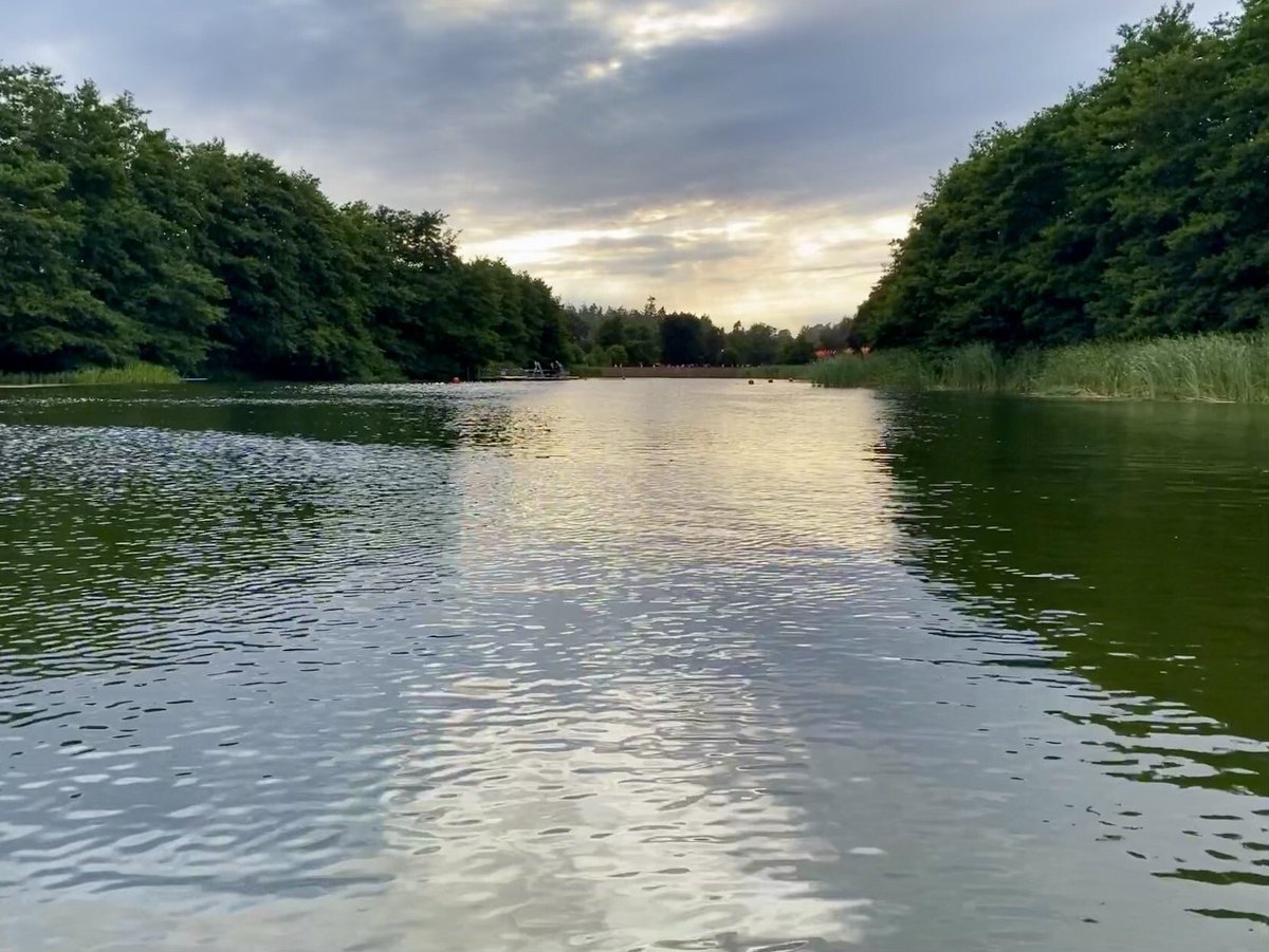Dojo007's tweet photo. A stunningly beautiful way to get to our dressing room & catering
when @acrmcr headlined the Sunrise Arena @LatitudeFest #ACRLive https://t.co/n8UvdKUHzL