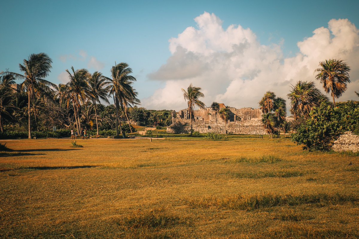 SasCrossCountry's tweet photo. The Tulum Ruins are something you shouldn’t skip. Those Mayans sure knew how to pick a place! #visittulum #tulumruins https://t.co/Oi5Q1LiBXD
