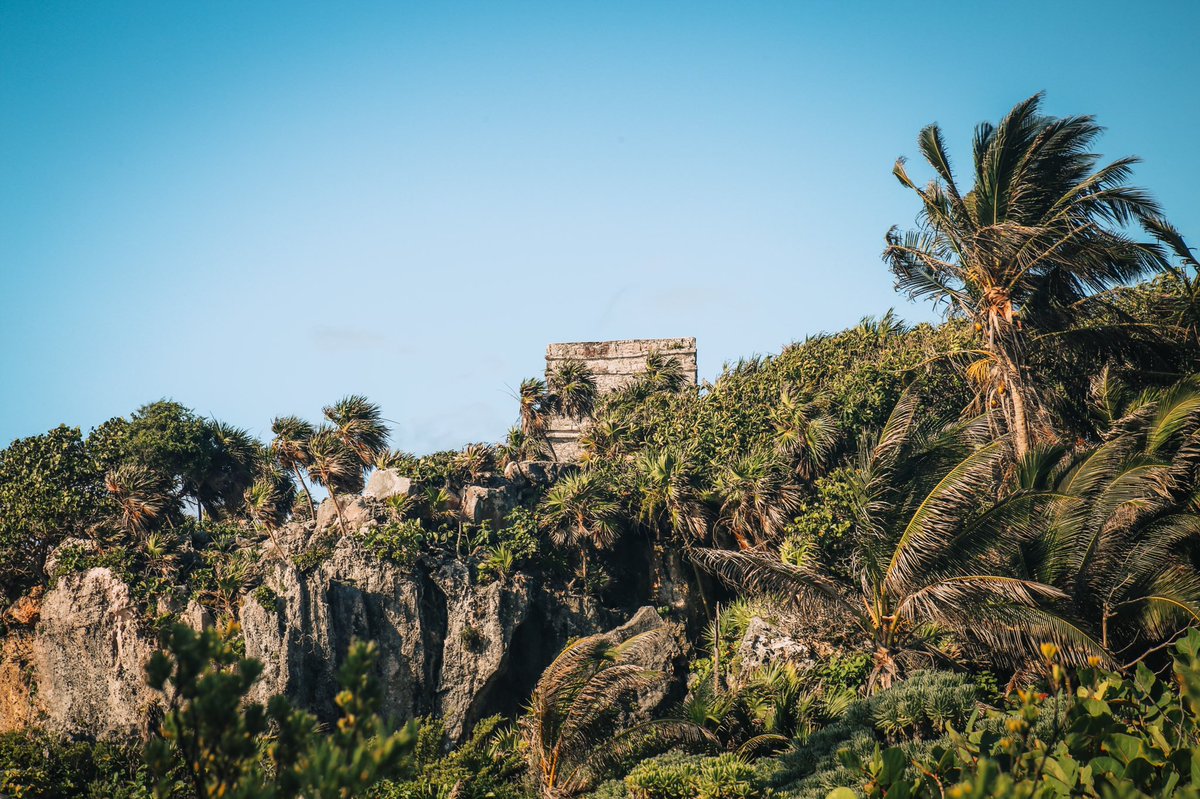 SasCrossCountry's tweet photo. The Tulum Ruins are something you shouldn’t skip. Those Mayans sure knew how to pick a place! #visittulum #tulumruins https://t.co/Oi5Q1LiBXD