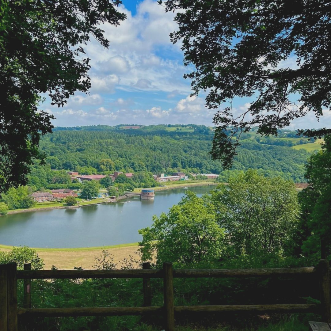 Oh the wonderful Wyre Forest 🌿

Did you know that it is the largest woodland National Nature Reserve in the country? 

There are miles of way-marked paths, trails and its surrounding woodlands and nature reserves are perfect to while away the day exploring.