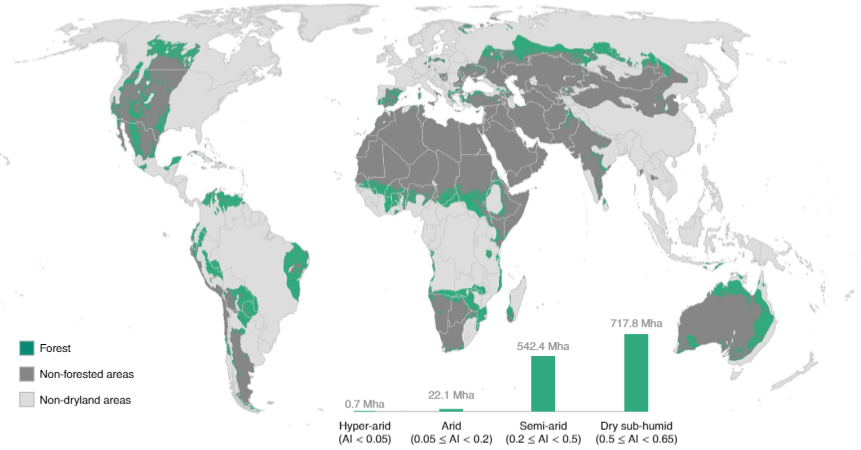 Guirado_e's tweet photo. Very happy to see our article published in @NaturePlants We have updated the global extent of dryland forests to 1230 Mha with climate legacies. https://t.co/AD5rGIofQq PDF https://t.co/TsLGgehfFb (1/3) https://t.co/2oi3cQN1B7