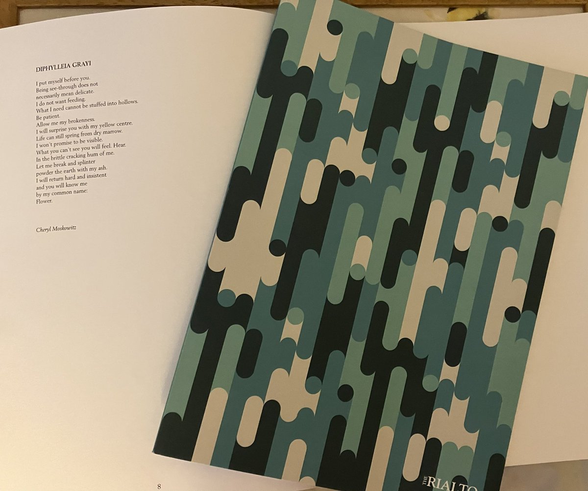 cherylmoskowitz's tweet photo. This beauty came today @RialtoPoetry #98CommonGround A profoundly good issue exquisitely edited by Edward Doegar. I’ve the huge honour of having my poem ‘Diphylleia Grayi’ sandwiched between work by @mj_sprackland &amp;  @Anna_Selby to name but a few of the greats featured here. https://t.co/yZbWMadu1w