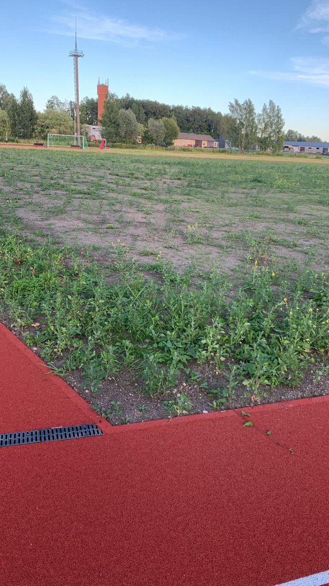 guntars_i's tweet photo. Skaists tas futbola laukums tapis Priekuļos! Skaists sporta zāliens, ir kur aci piesiet! Ir gan nezāles, gan akmeņi! Tādus tos sporta laukumus pie mums būvē! https://t.co/IQjLntWDSR