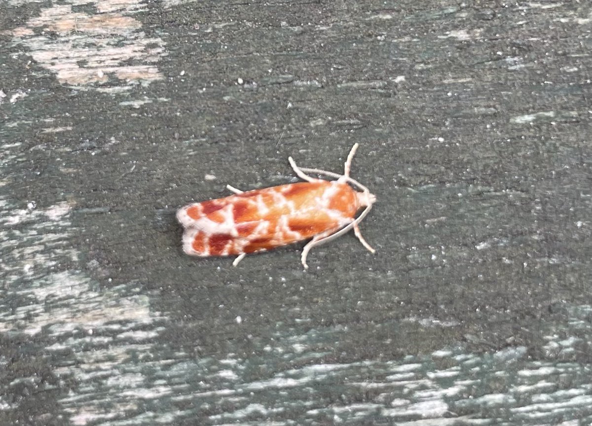 brian_barett's tweet photo. @MOTHIDUK  one more please. https://t.co/t4U4HbSHIj