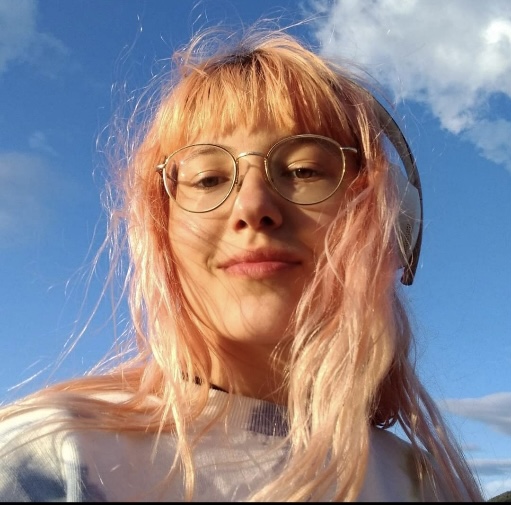 Service de police de la Ville de Québec tweet media