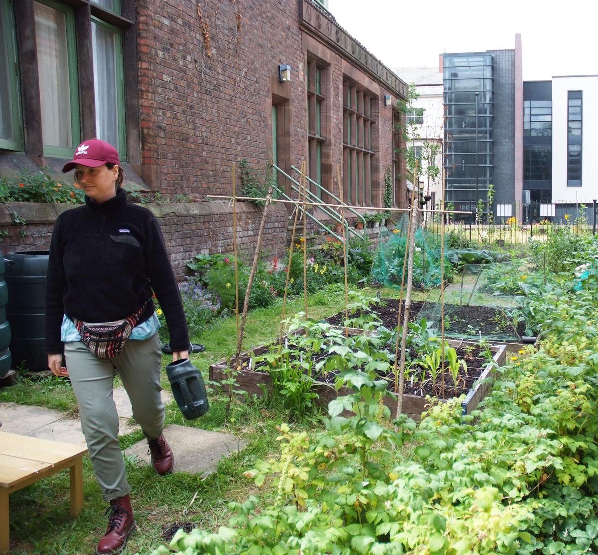 Hope Community Garden tweet media