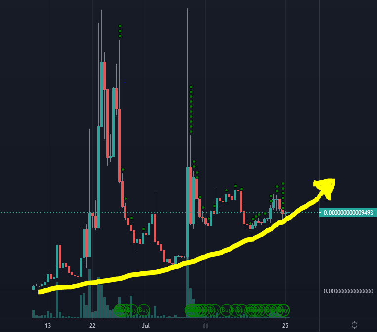 Rise and Shine tweet media