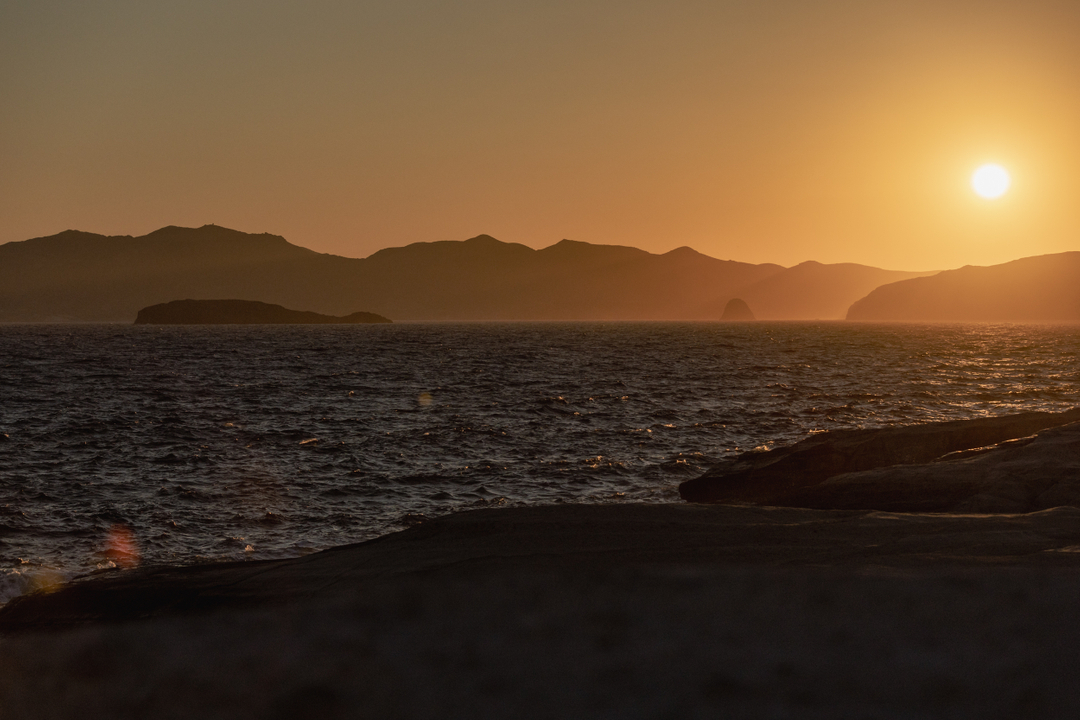 Jon Glassberg tweet media