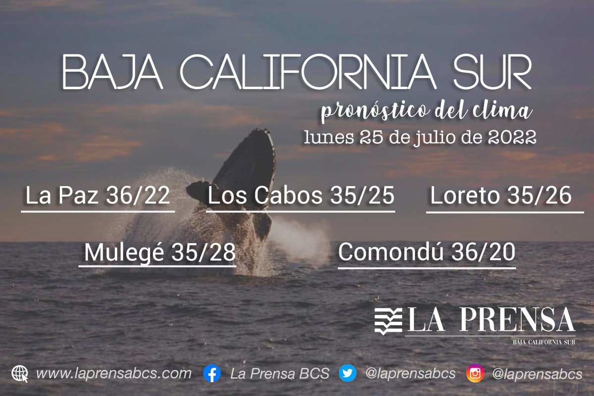 La Prensa BCS 📰 (@laprensabcs) on Twitter photo 