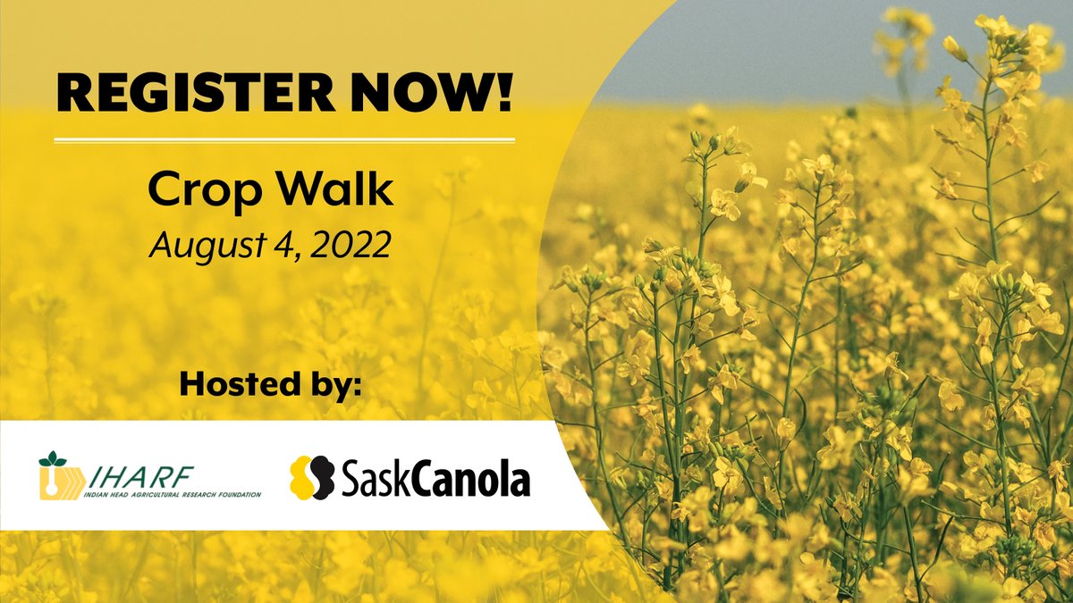 SaskOilseeds tweet media