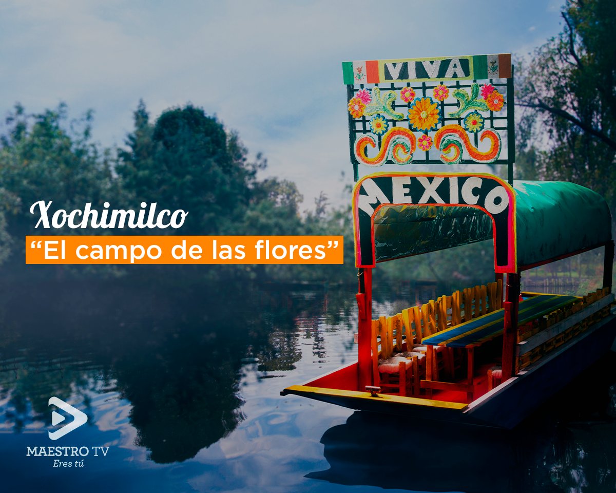 Xochimilco y sus emblemáticas trajineras esperan con ansias el regreso de la gente que llena este lugar de alegría. 🇲🇽✨
#MaestroTV