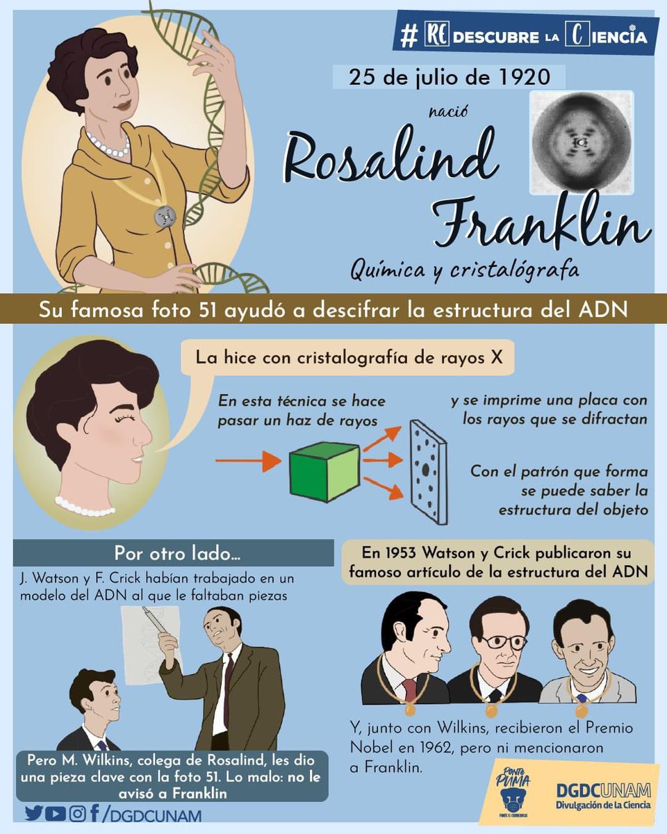 DGDCUNAM's tweet photo. Recordamos el natalicio de Rosalind Franklin, ¡la científica y autora de la fotografía que ayudó a descifrar la estructura del ADN!🧬

#RedescubreLaCiencia https://t.co/fTsb7ioZ5F