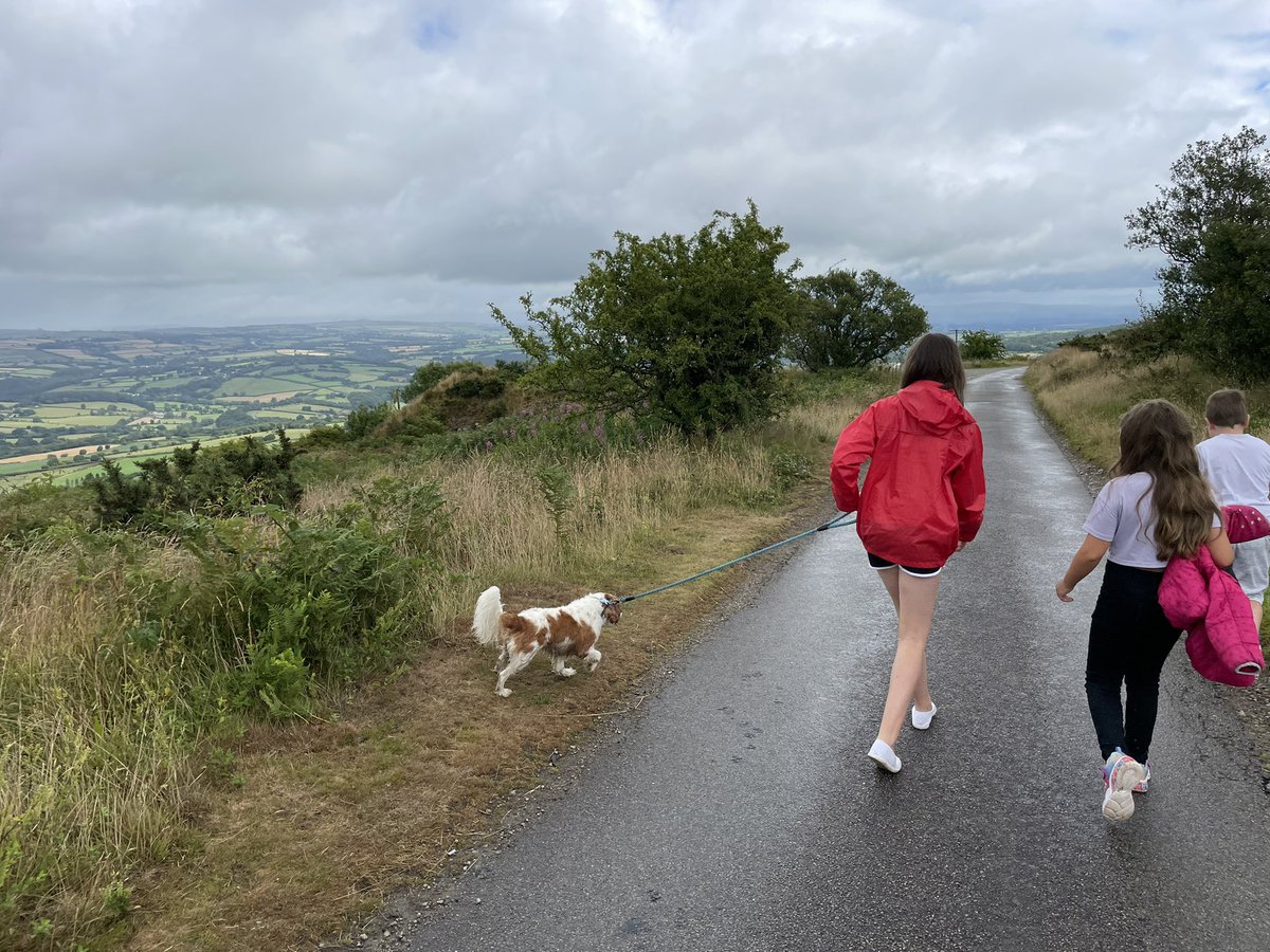 srpovey's tweet photo. Enjoying the lovely countryside this morning .. #kithill https://t.co/VRbof93kEc