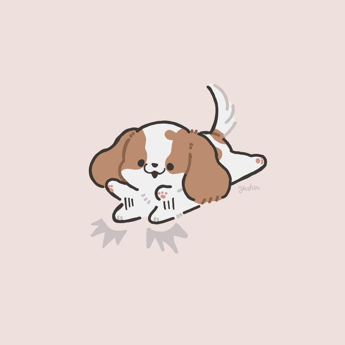 細かすぎて伝わりにくい犬の好き仕草 飼い主の顔を見ながら床ダン 