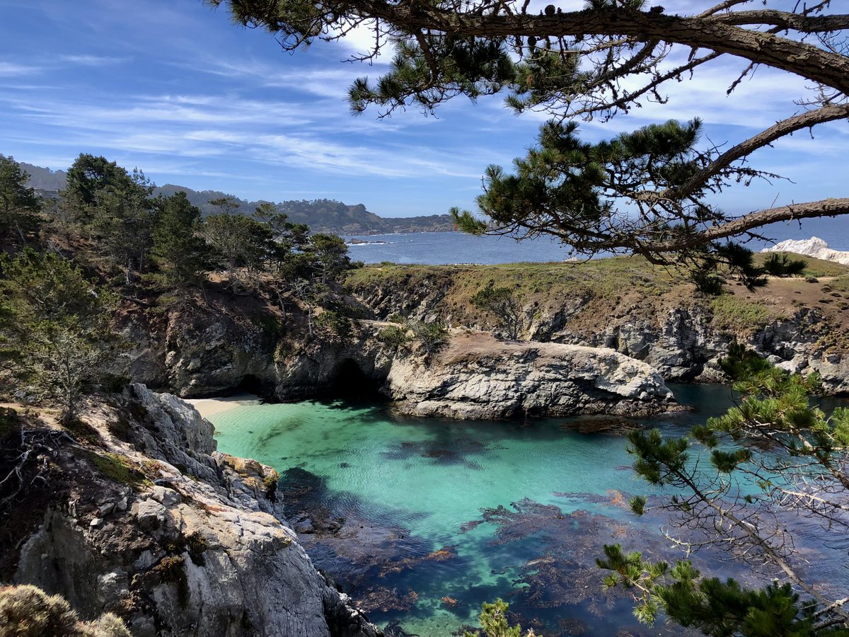 VdeGraffenried tweet media