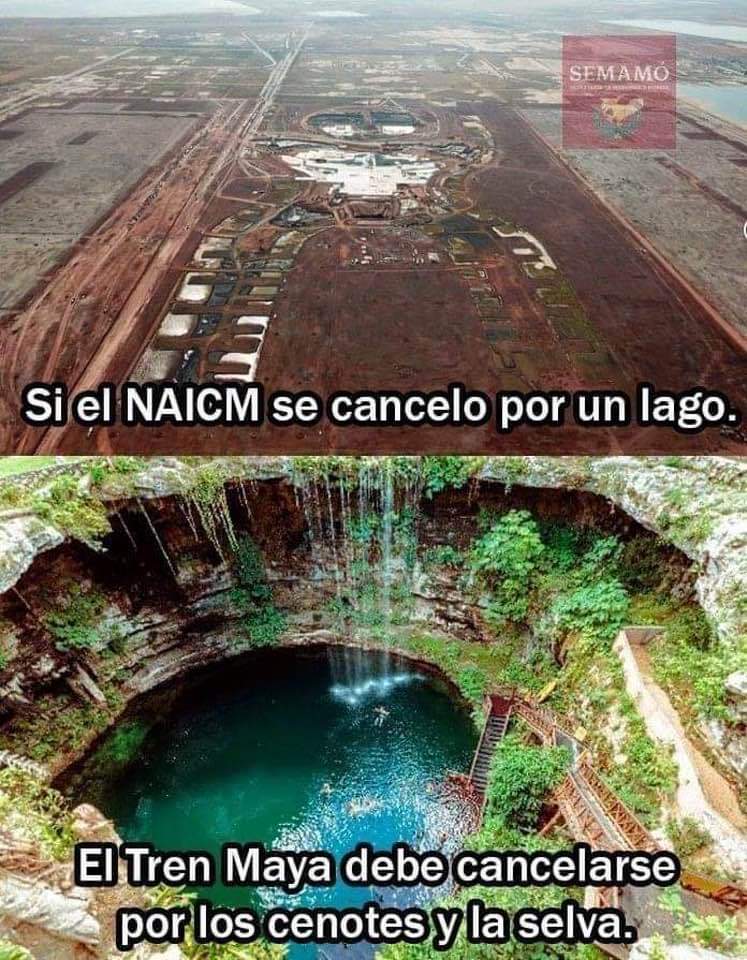 Criaturitas del señor en peligro de extinción: bien inicio de semana! Buenos días!!!