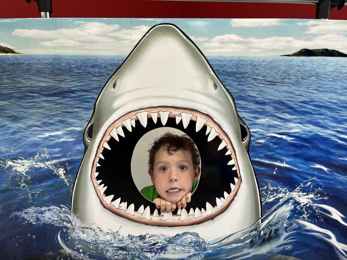 @thedonutstation kids having fun with sharks