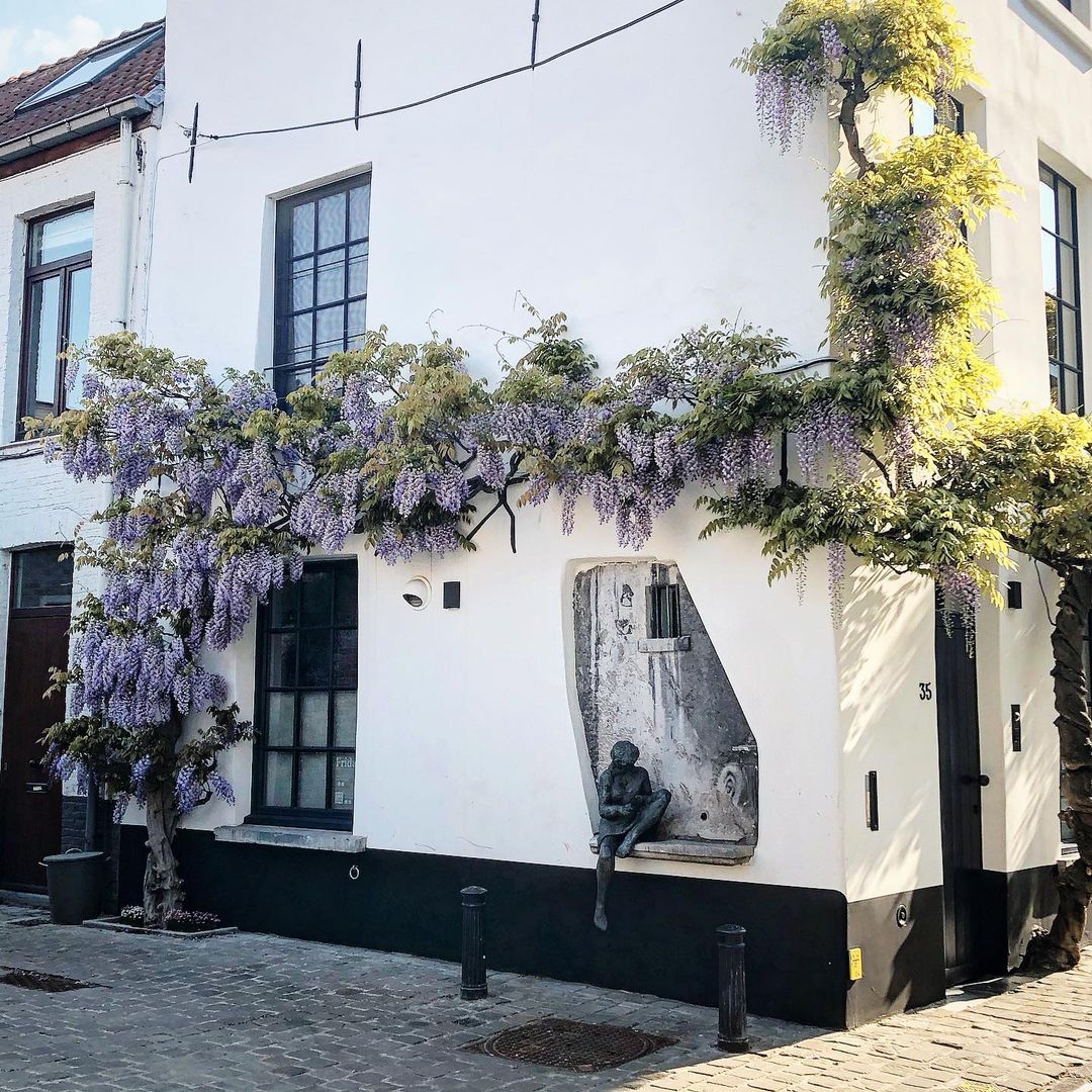 À #Gand, les oeuvres d'art se confondent avec les façades fleuries des maisons 💜

Les balades deviennent alors un florilège de jolies découvertes au coeur de l'été, pour notre plus grand plaisir ☀️

📸: @gidsingent

<a href="/visitgent/">visit gent</a> #Gent #VisitFlanders