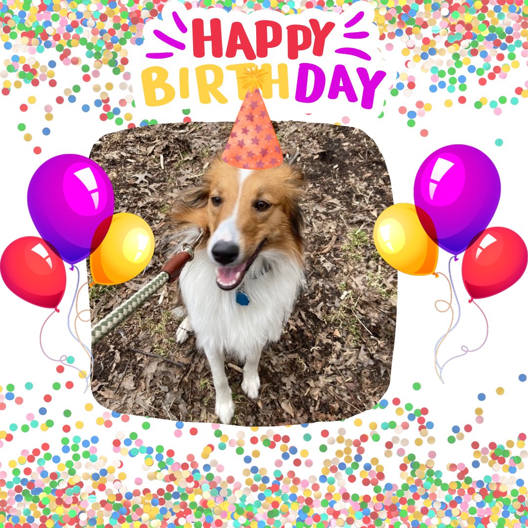 pooch_nyc's tweet photo. Happy Birthday, Ginger!
With love,
Your friends at The Perfect Pooch NYC
.
.
.
.
.
#uppereastsidedogs #upperwestsidedogs #uesdogs #uwsdogs #uwsdogwalker #uesdogwalker #uwspetcare #uespetcare #nycdogs #dogsoftheuws #dogsoftheues #nycdogwalker #theperfectpoochnyc #hireapetcarepro https://t.co/uVqbf6gO46