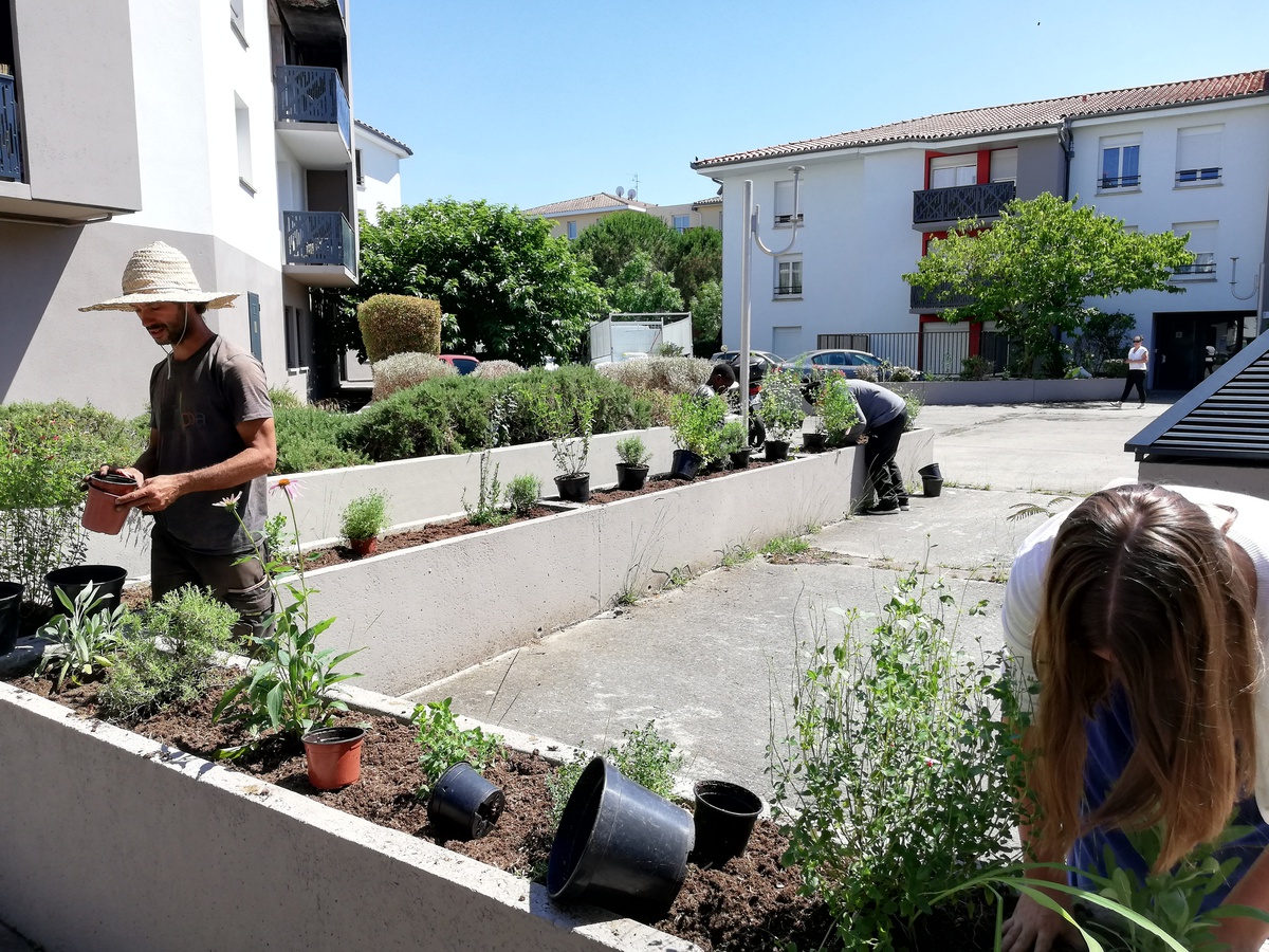 Promologis tweet media