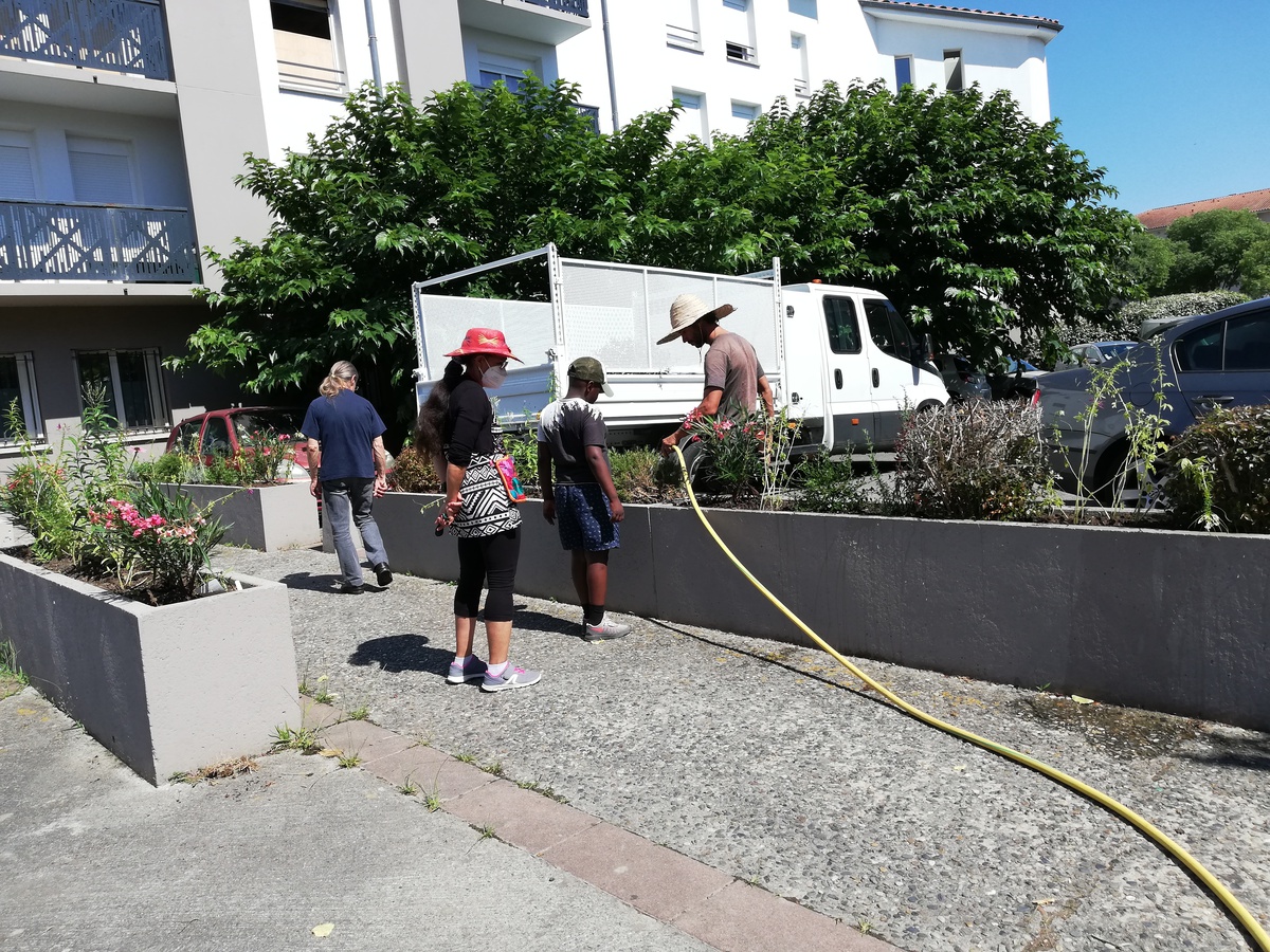 Promologis tweet media