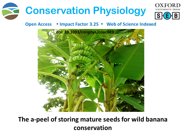 conphysjournal's tweet photo. New in #ConPhys!

The a-peel of storing mature seeds for wild banana conservation

Read more here: https://t.co/3J9YaNhXCJ

#dessication #genes #plantain https://t.co/C9DL28zYSO