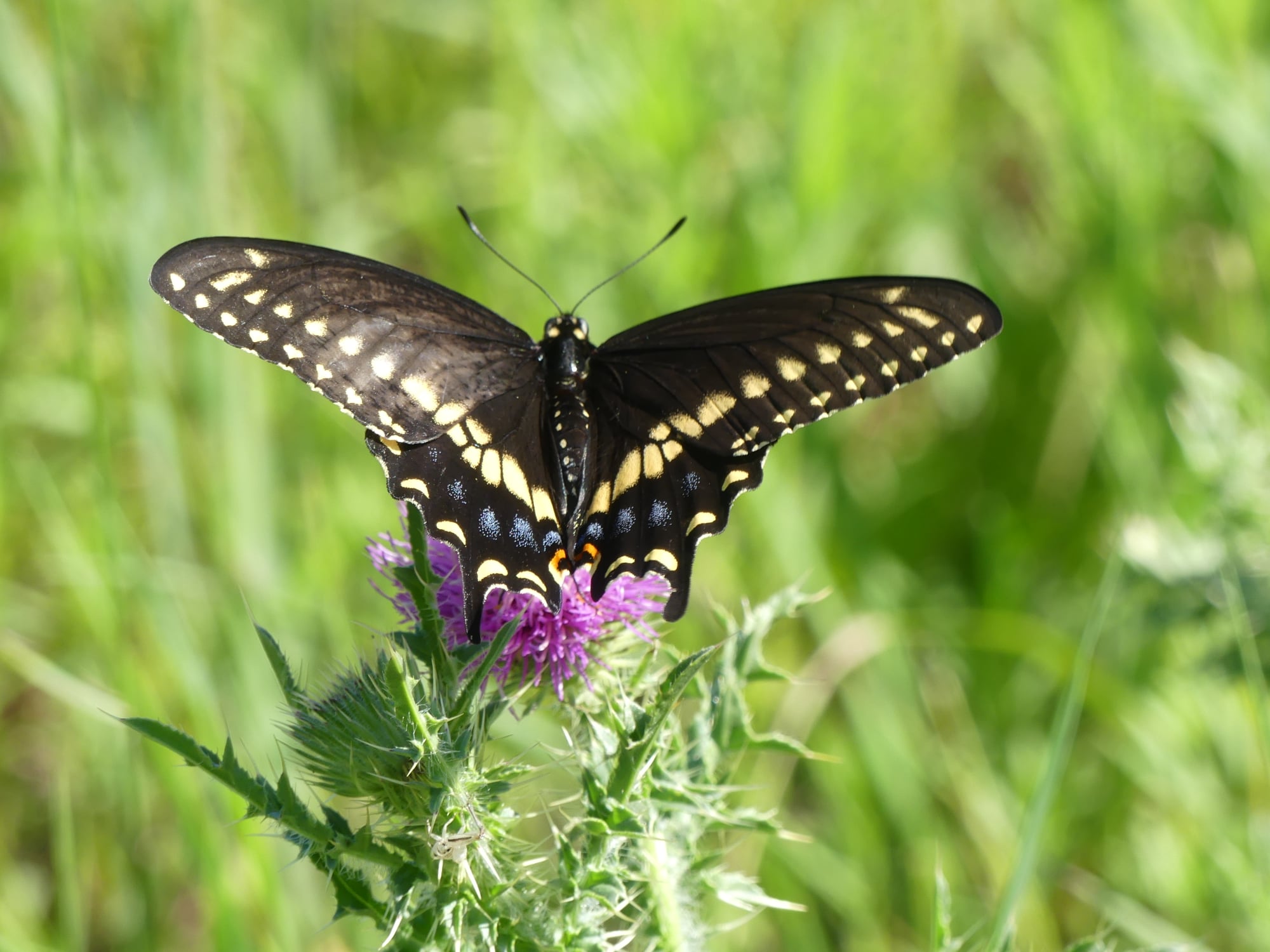 Iroquois Valley Farmland REIT on Twitter "Every month, our staff and